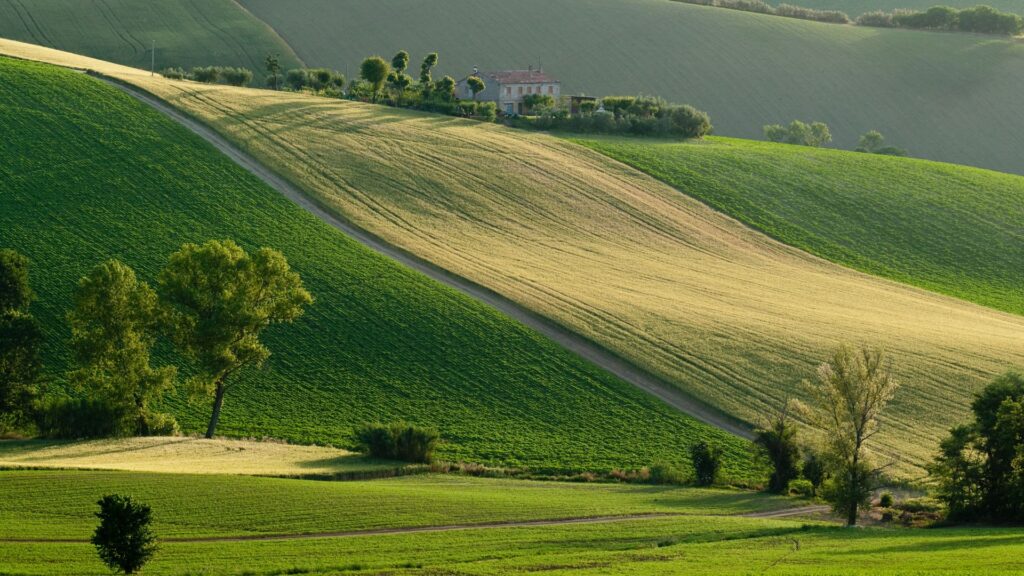 Slope.